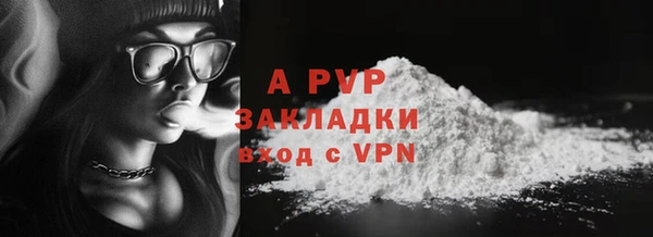 apvp Пересвет