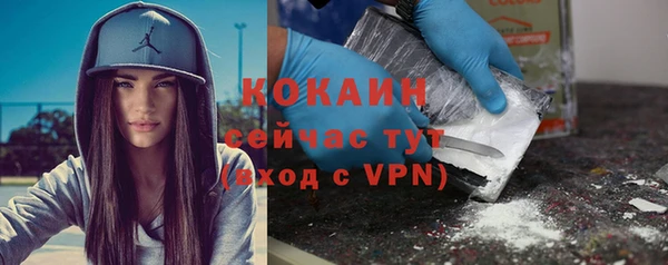 apvp Пересвет