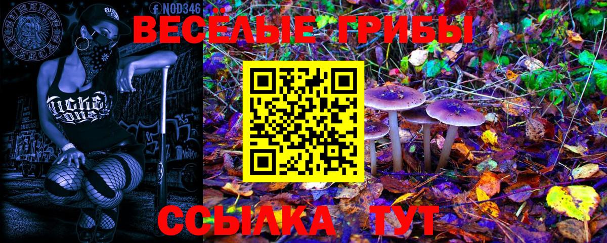 МЕФ Североуральск