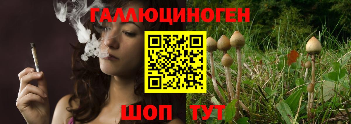 Псилоцибиновые грибы GOLDEN TEACHER Североуральск
