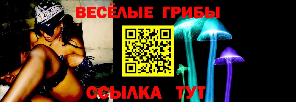 Галлюциногенные грибы мухоморы  наркота  Псилоцибиновые грибы MAGIC MUSHROOMS  Североуральск 
